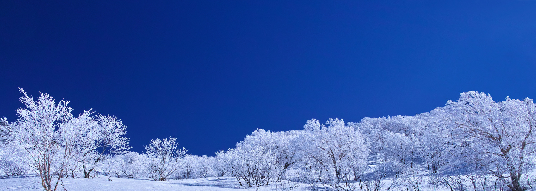 Snow scene